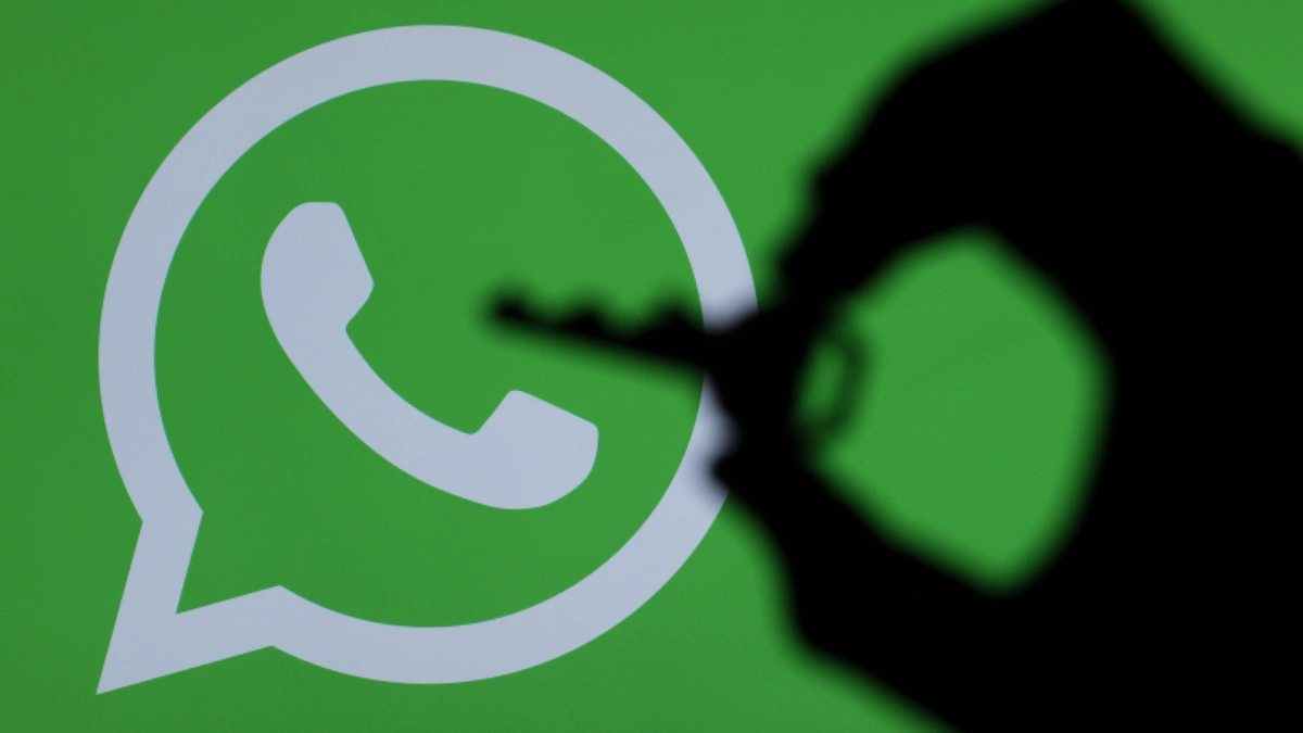 Is WhatsApp number checking helpful for WhatsApp marketing?